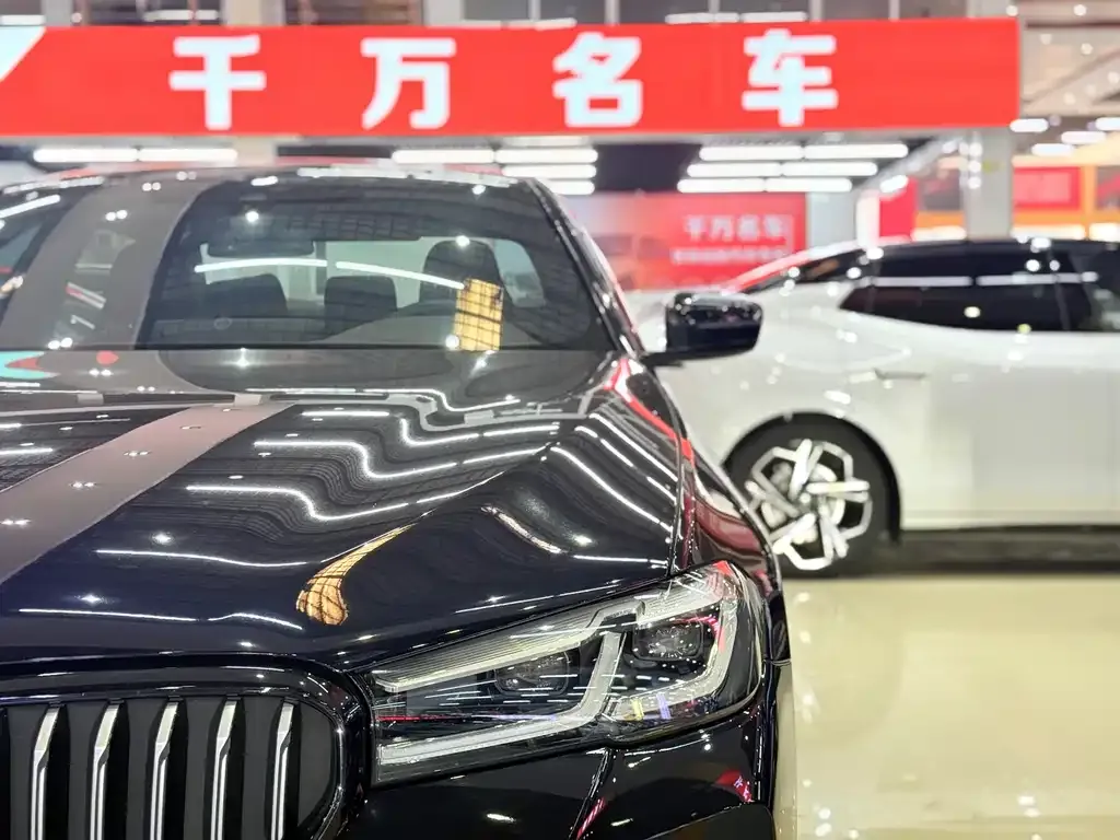 BMW 5 Series 2021 из CN, фото 6