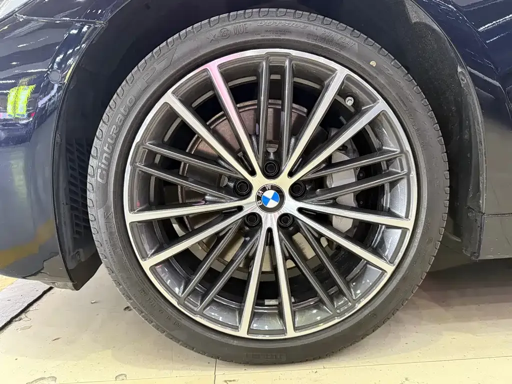 BMW 5 Series 2021 из CN, фото 7