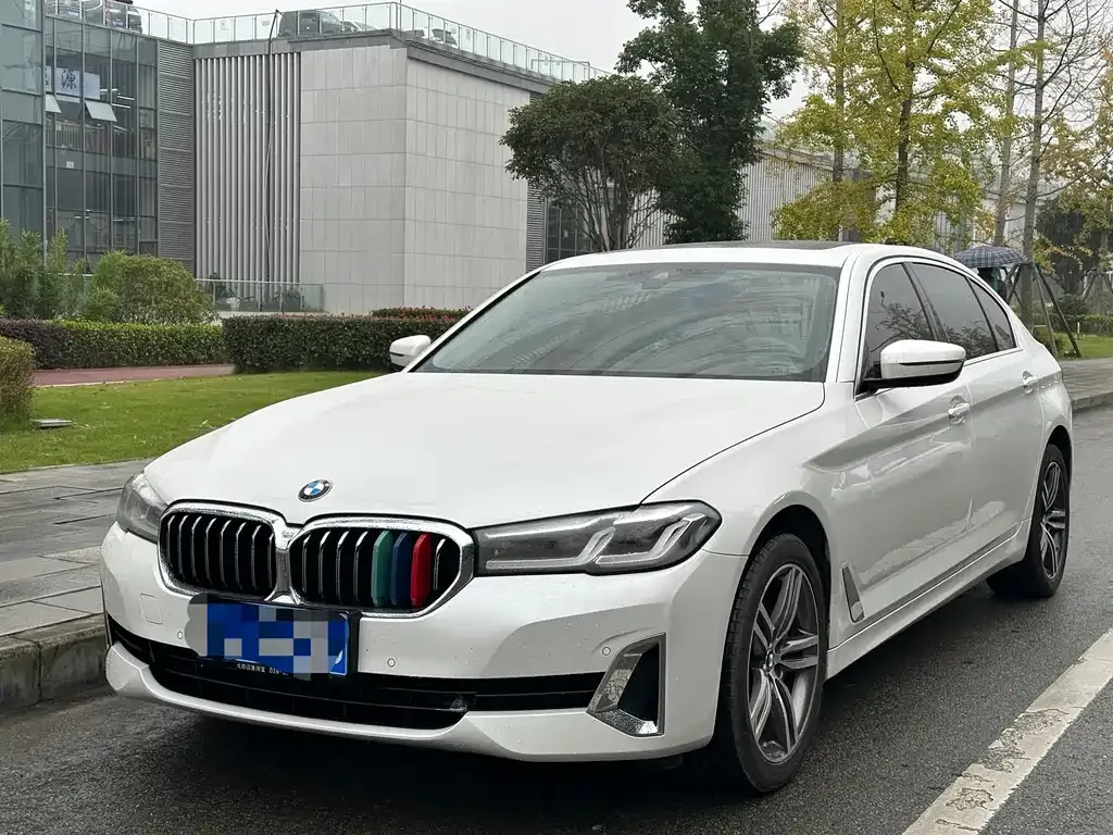 BMW 5 Series 2021 из CN, фото 1