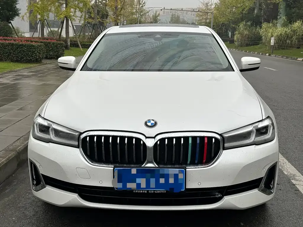 BMW 5 Series 2021 из CN, фото 2