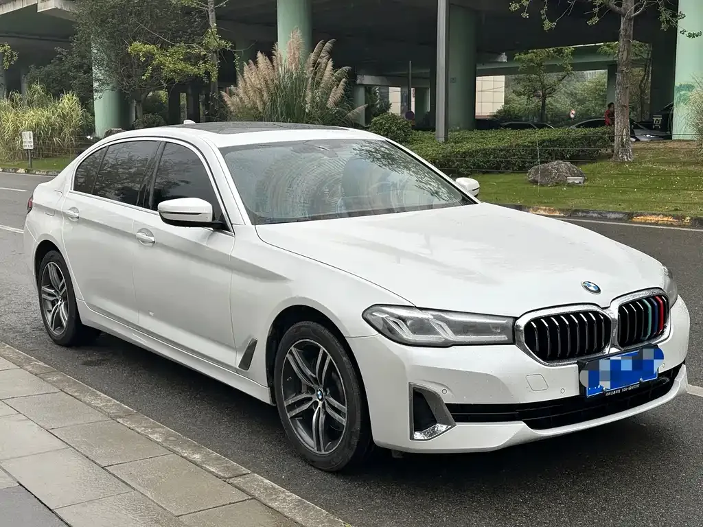 BMW 5 Series 2021 из CN, фото 3