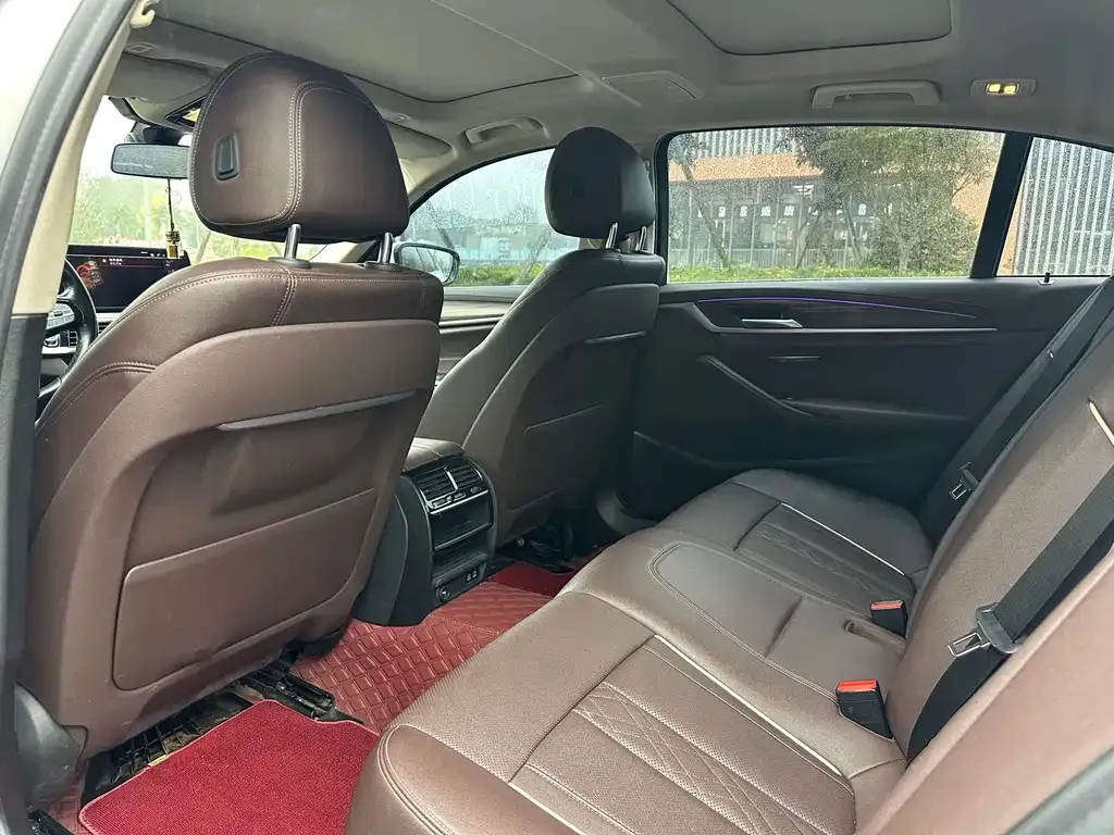 BMW 5 Series 2021 из CN, фото 4