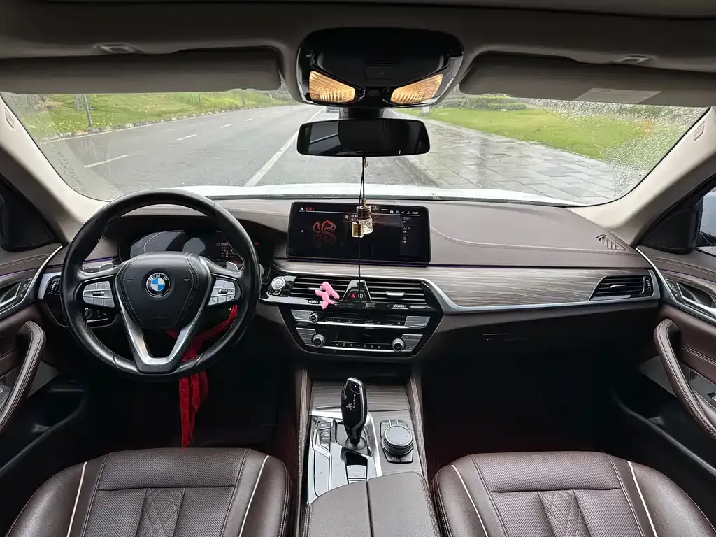 BMW 5 Series 2021 из CN, фото 5