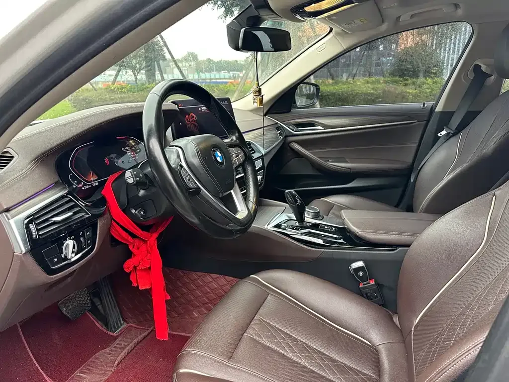 BMW 5 Series 2021 из CN, фото 6