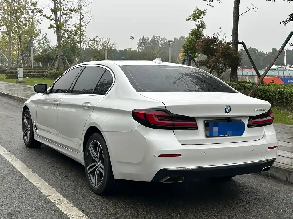BMW 5 Series 2021 из CN, фото 7