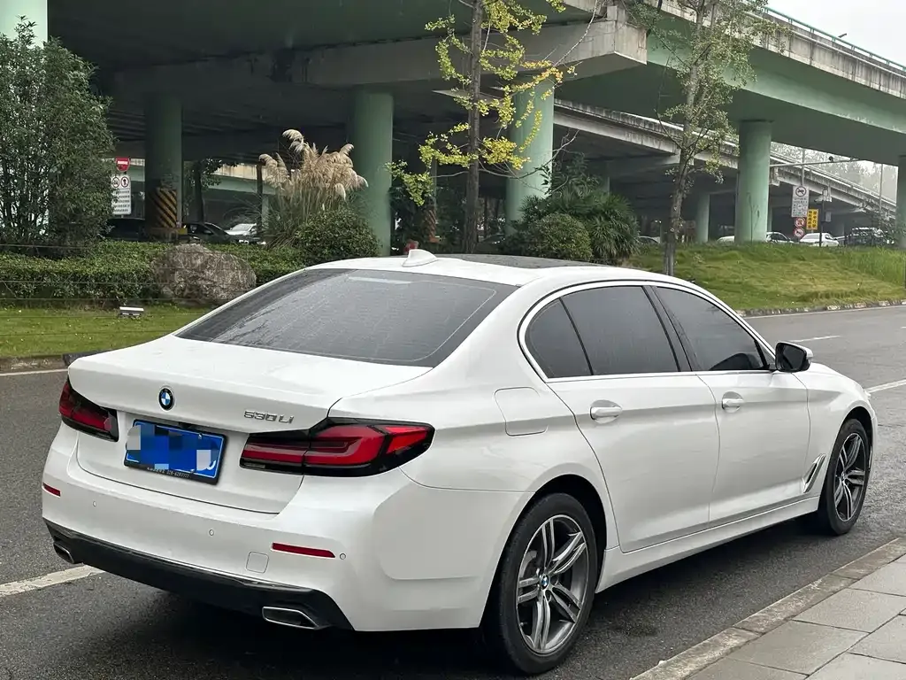 BMW 5 Series 2021 из CN, фото 8