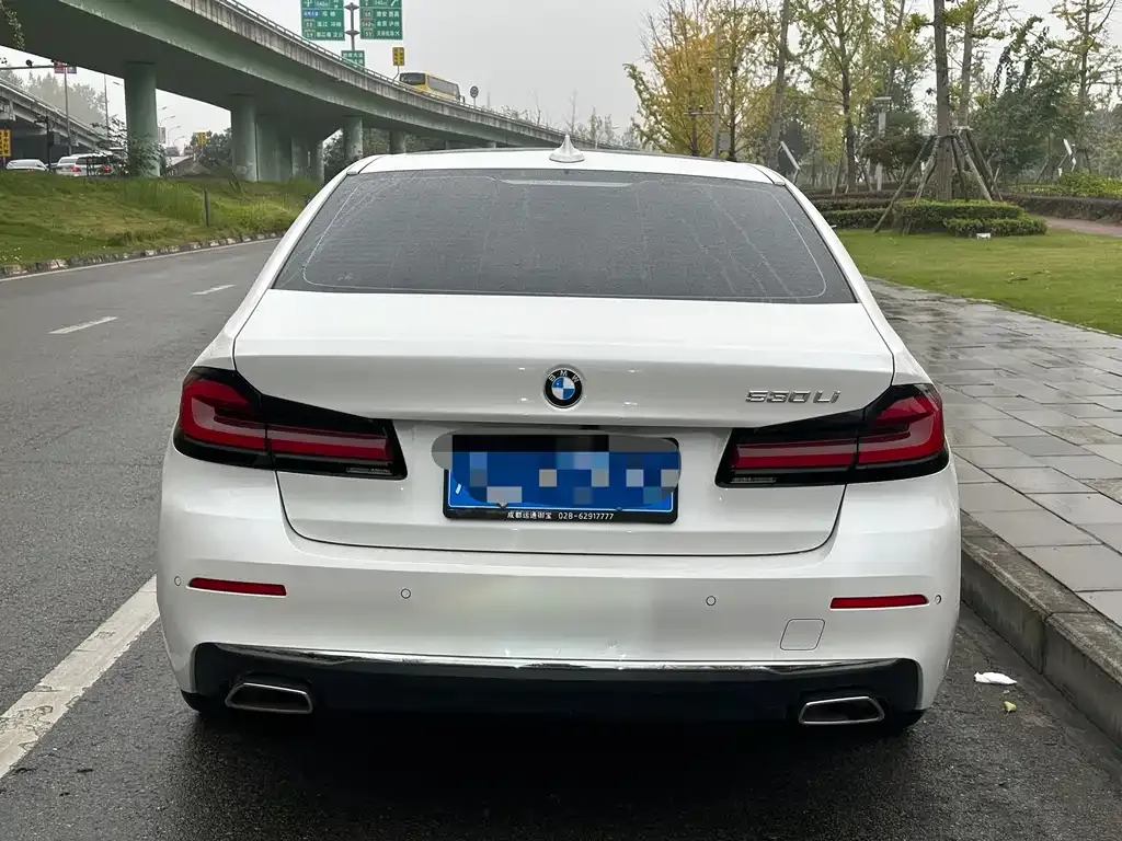 BMW 5 Series 2021 из CN, фото 9