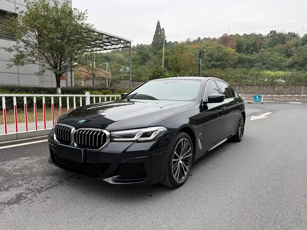 BMW 5 Series 2023 из CN, фото 1