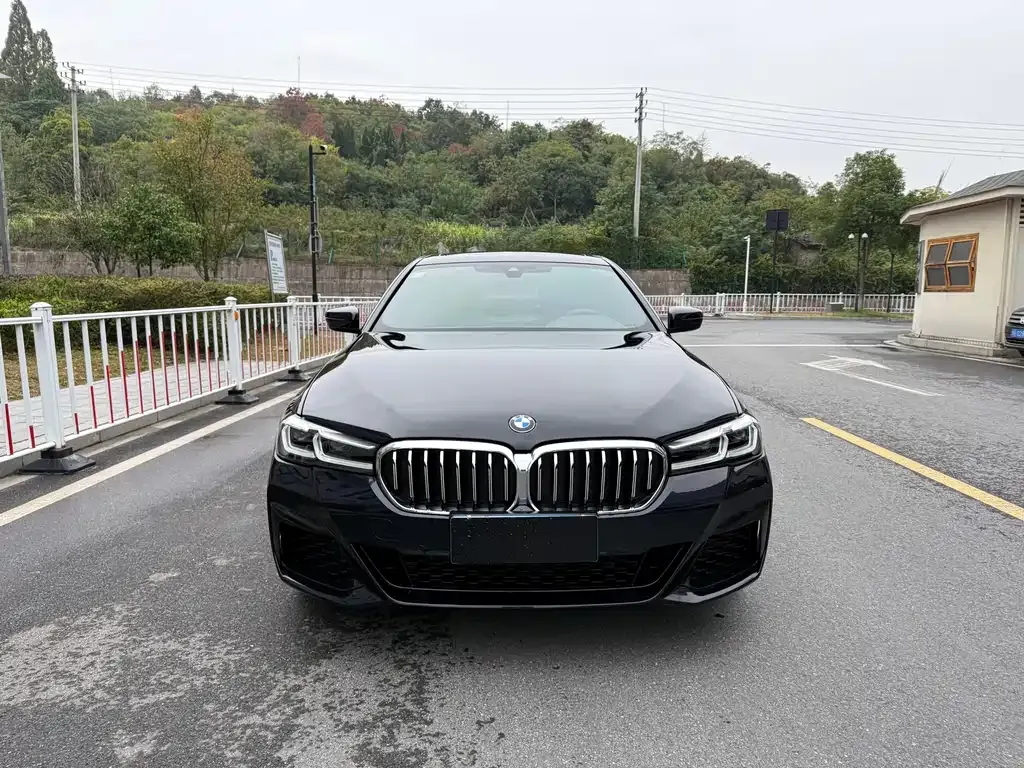 BMW 5 Series 2023 из CN, фото 2
