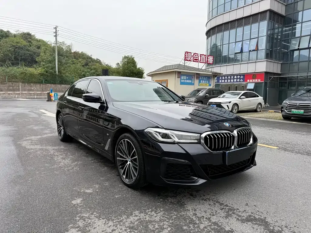 BMW 5 Series 2023 из CN, фото 3