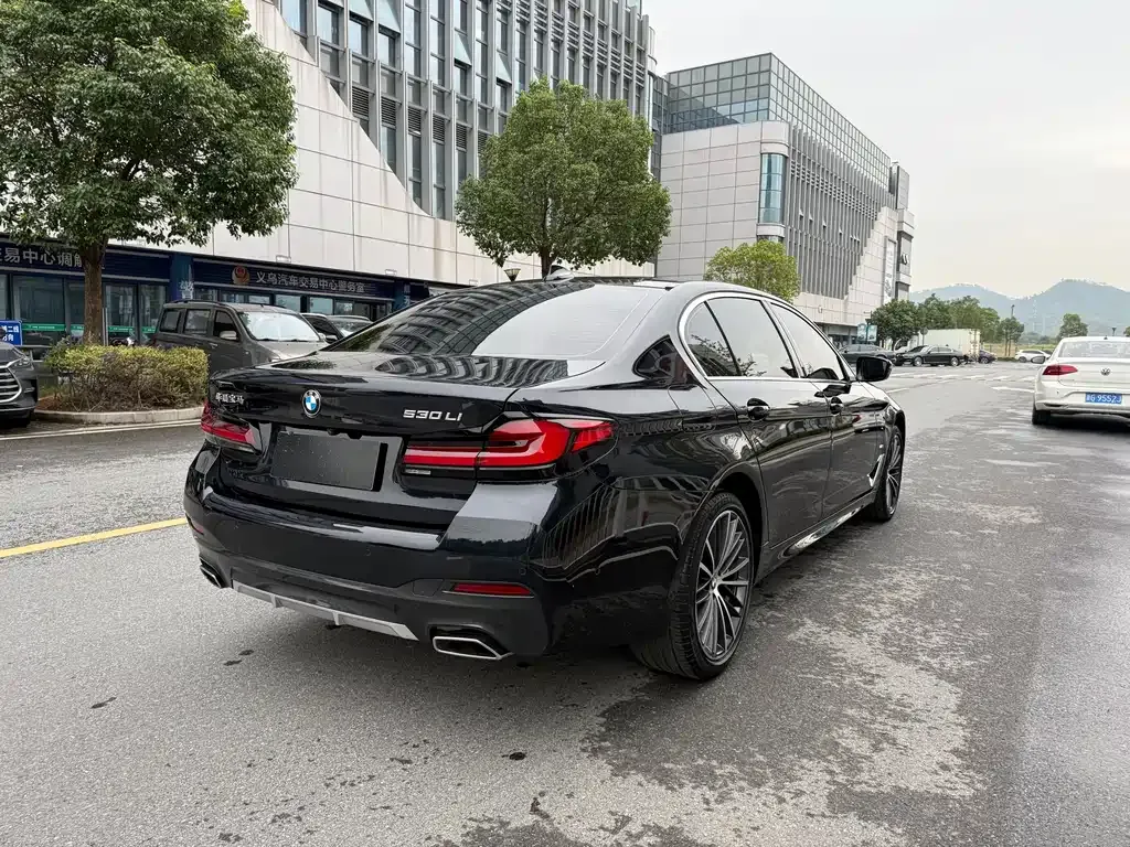 BMW 5 Series 2023 из CN, фото 7