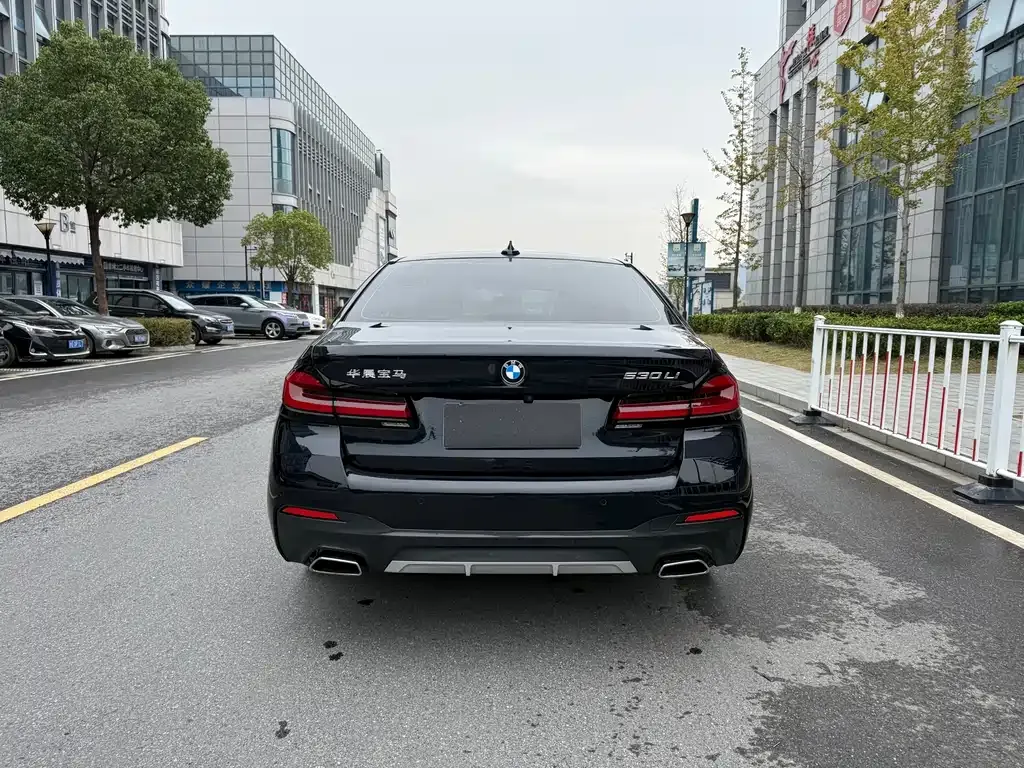 BMW 5 Series 2023 из CN, фото 9