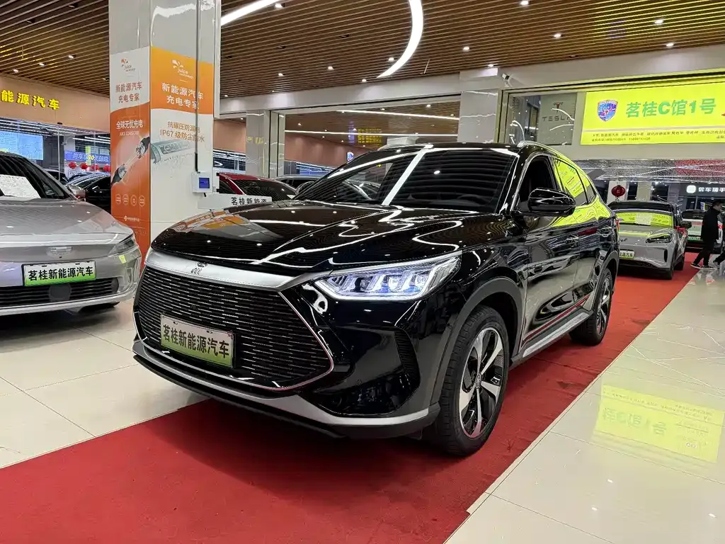 BYD PLUS New Energy 2023 из CN, фото 1