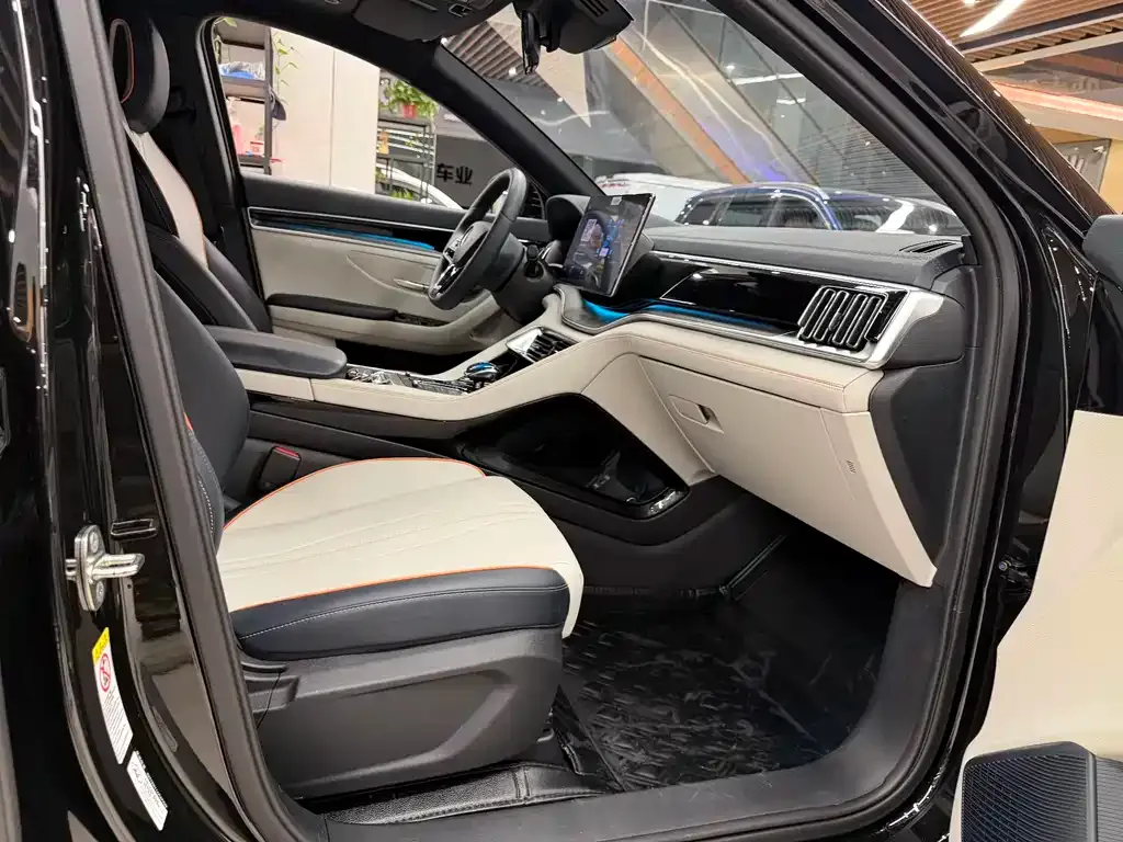 BYD PLUS New Energy 2023 из CN, фото 10