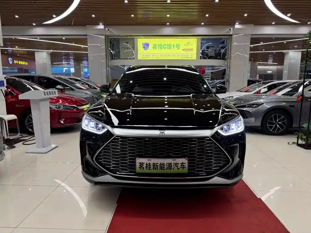 BYD PLUS New Energy 2023 из CN, фото 2