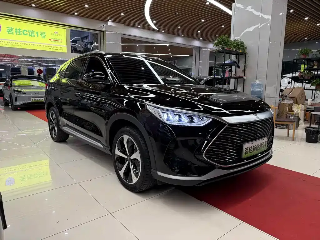 BYD PLUS New Energy 2023 из CN, фото 3
