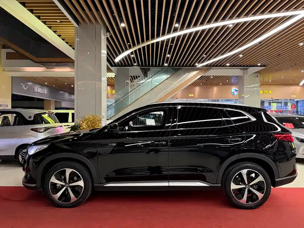 BYD PLUS New Energy 2023 из CN, фото 4