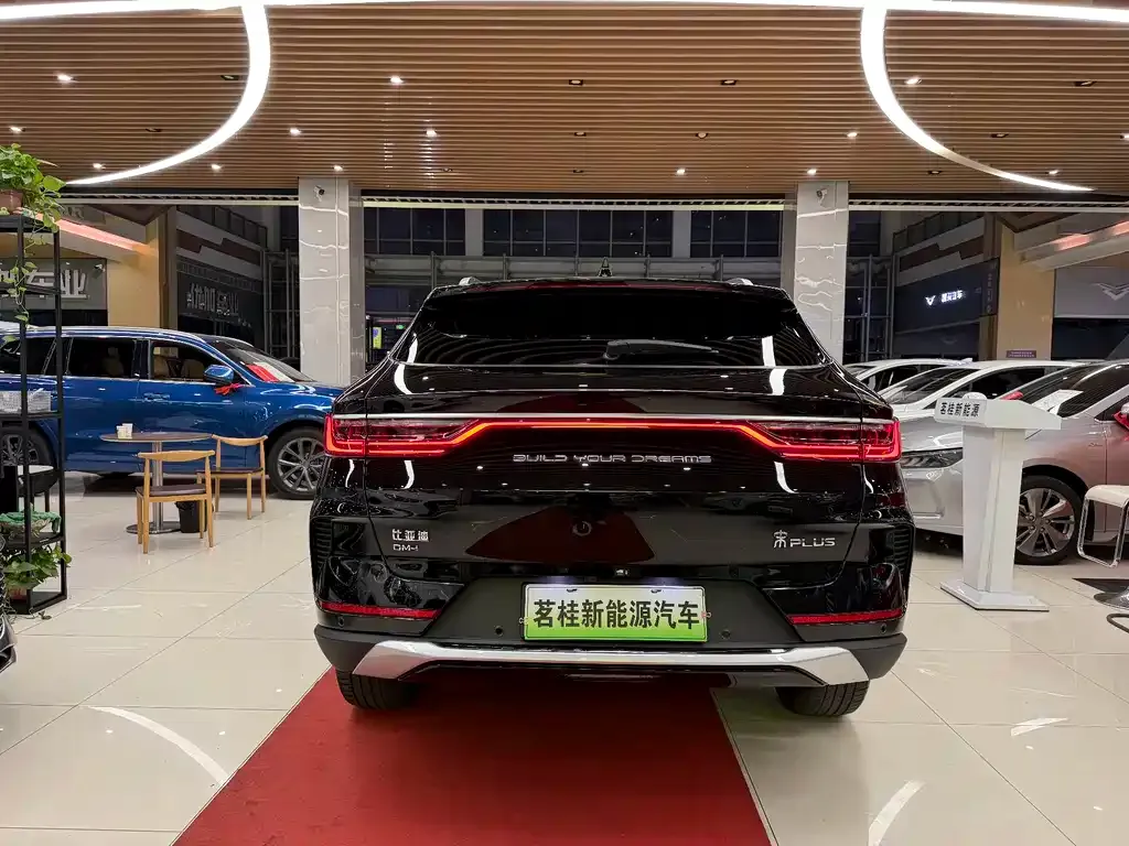 BYD PLUS New Energy 2023 из CN, фото 5