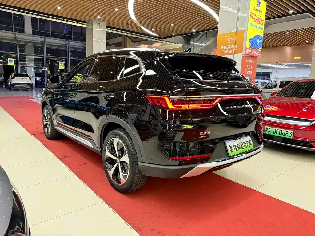 BYD PLUS New Energy 2023 из CN, фото 6