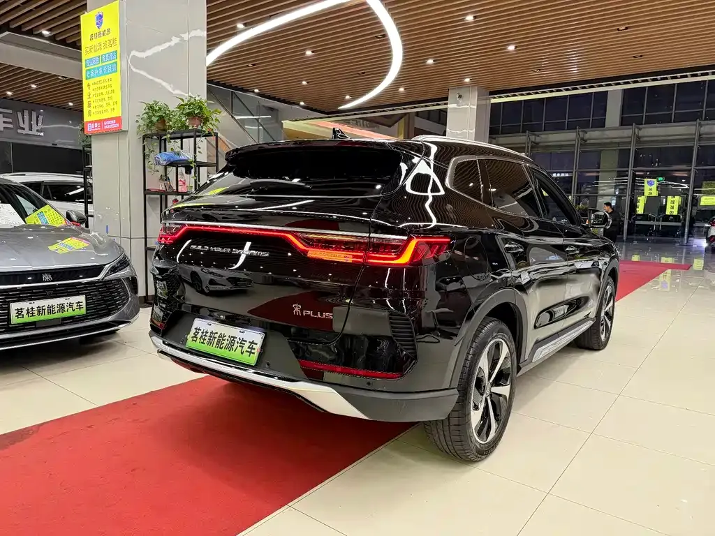 BYD PLUS New Energy 2023 из CN, фото 7