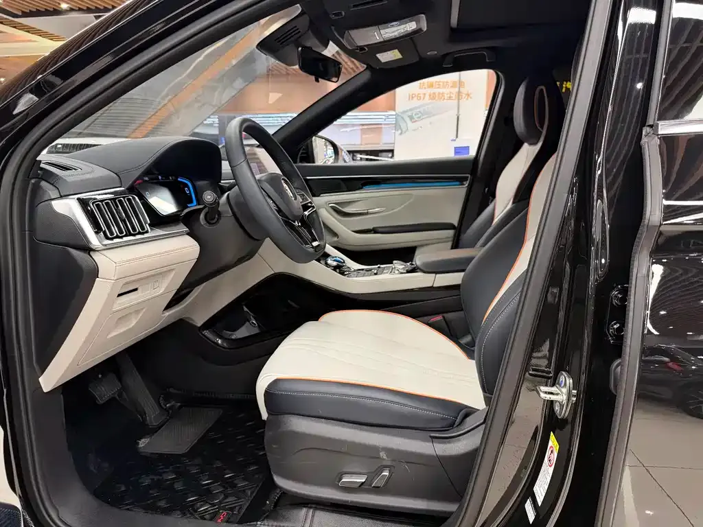 BYD PLUS New Energy 2023 из CN, фото 8