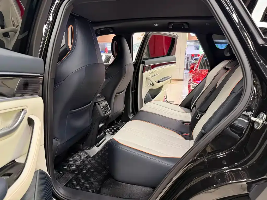 BYD PLUS New Energy 2023 из CN, фото 9