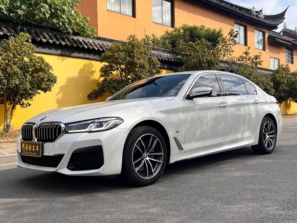 BMW 5 Series 2021 из CN, фото 1