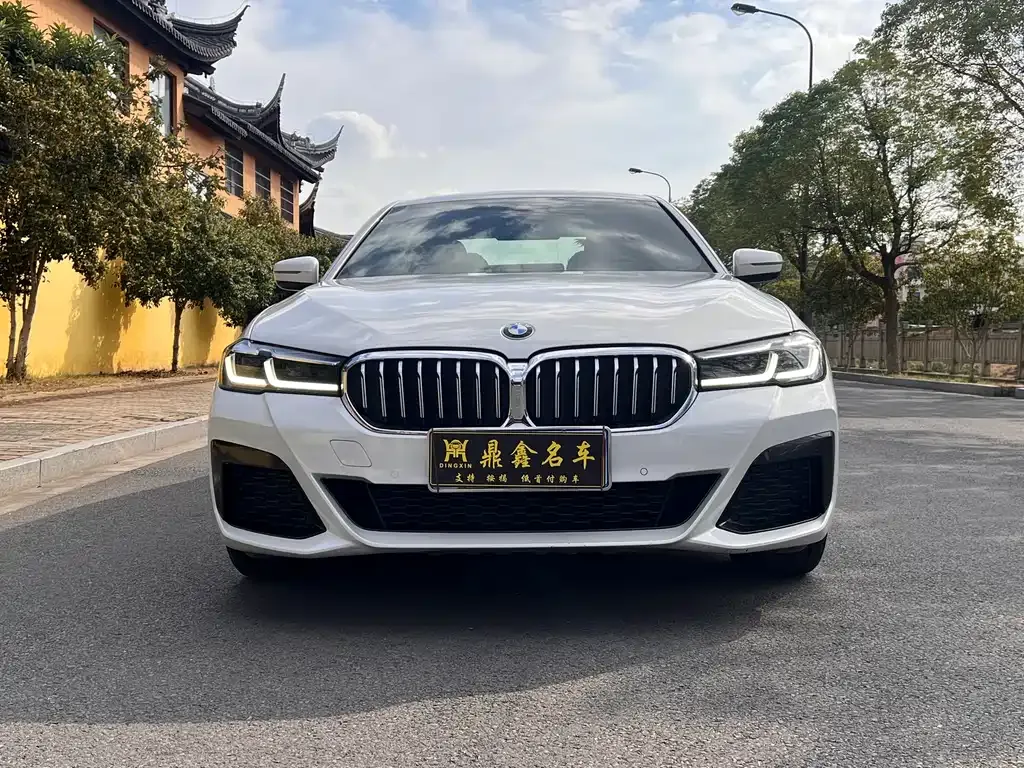 BMW 5 Series 2021 из CN, фото 2