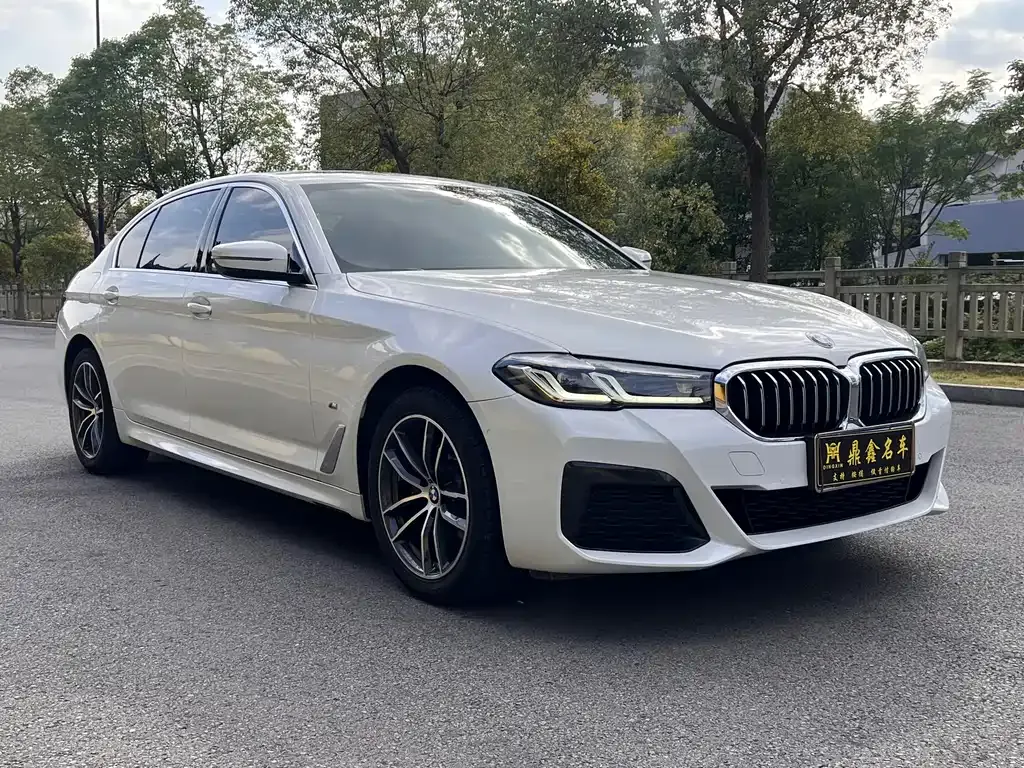 BMW 5 Series 2021 из CN, фото 3