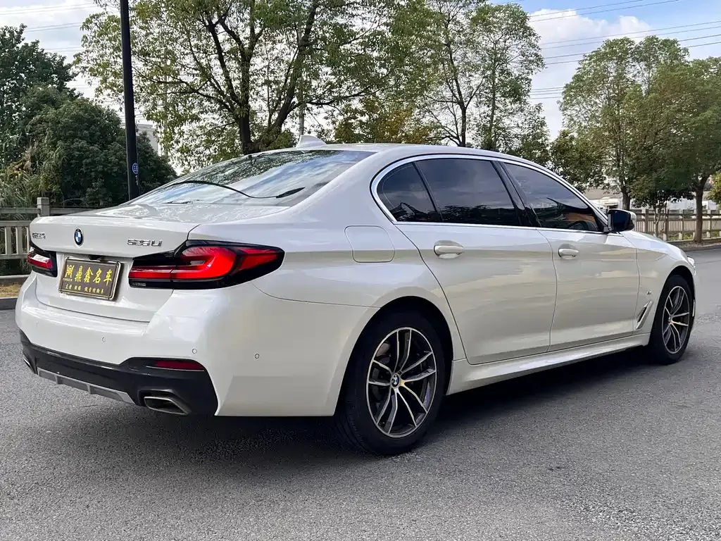 BMW 5 Series 2021 из CN, фото 4