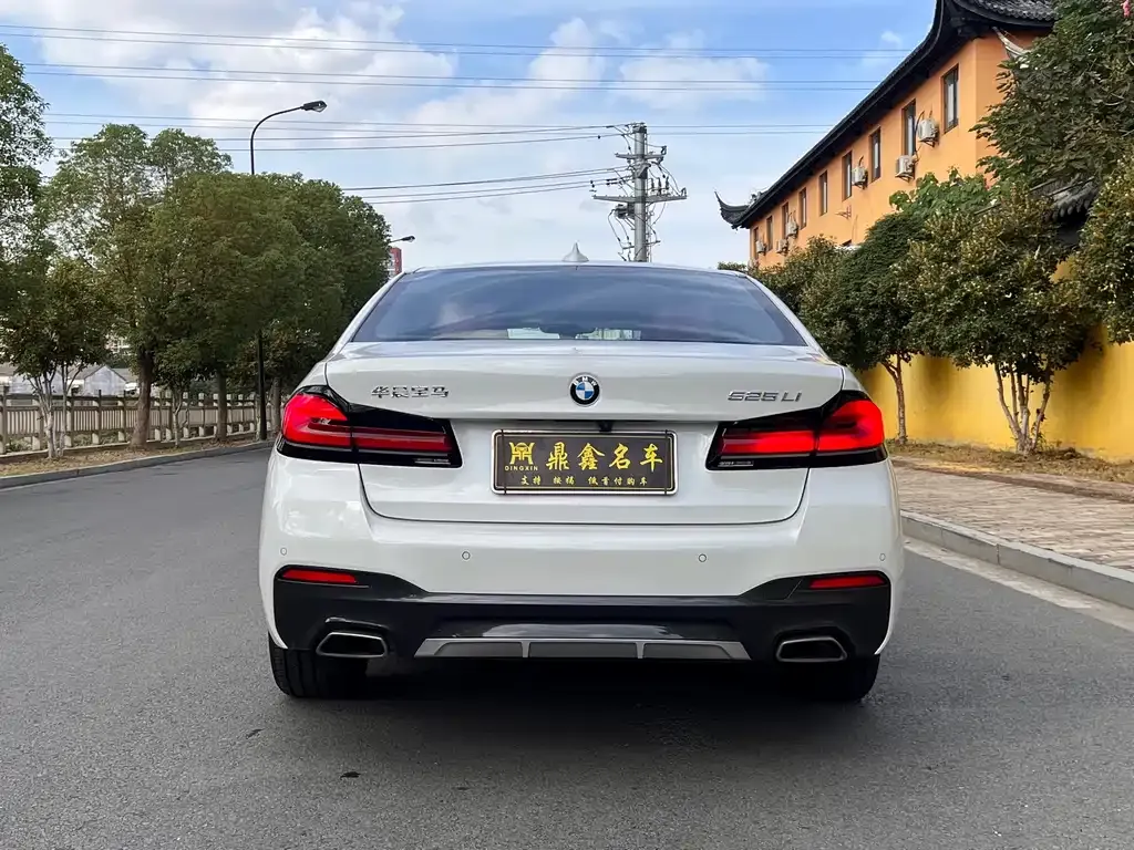 BMW 5 Series 2021 из CN, фото 5