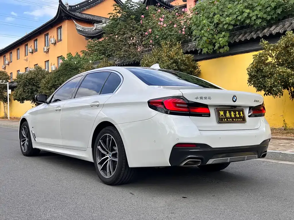 BMW 5 Series 2021 из CN, фото 6