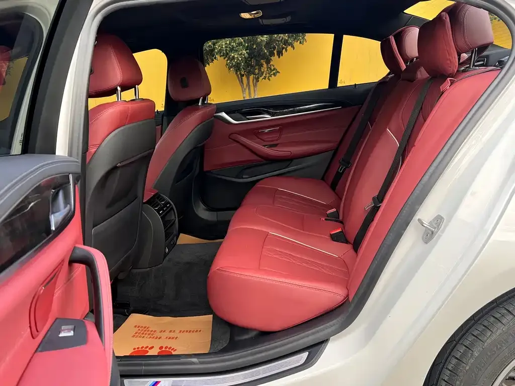 BMW 5 Series 2021 из CN, фото 8