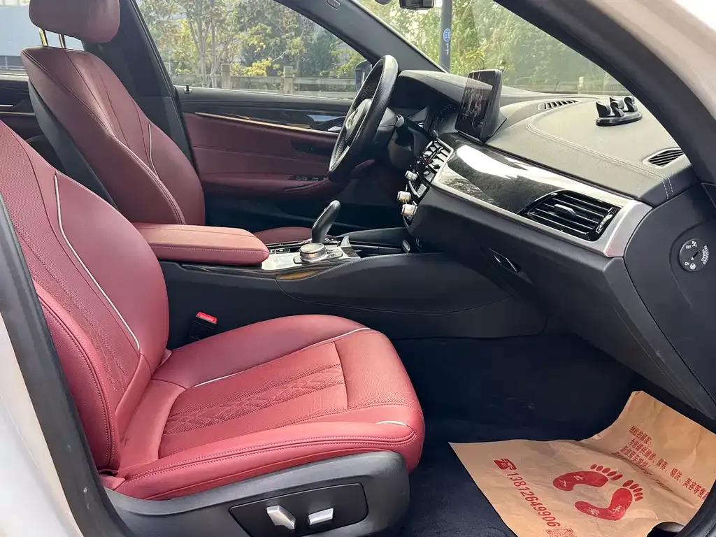 BMW 5 Series 2021 из CN, фото 9