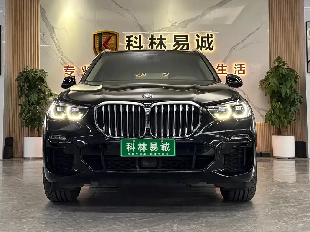 BMW X5 (Import) 2021 из CN, фото 2