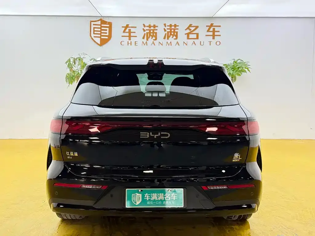 BYD Tang L 2025 из CN, фото 10