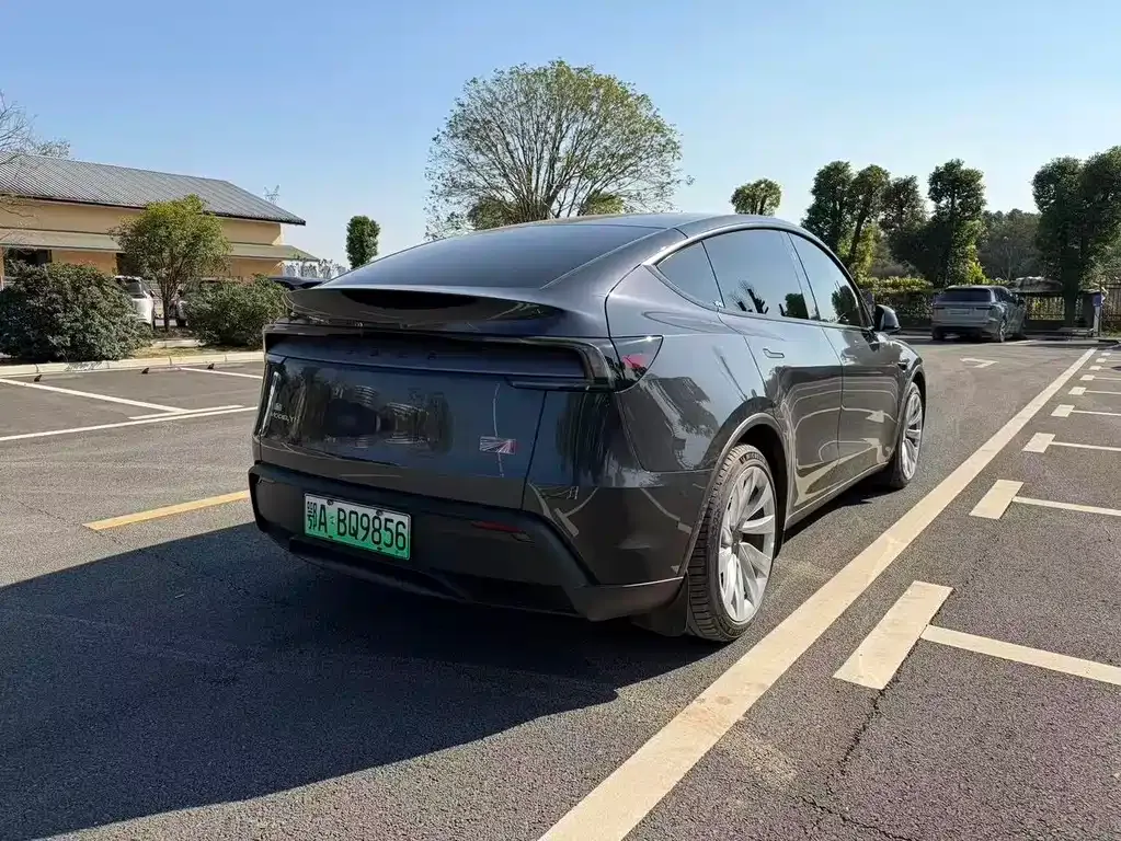 Tesla Model Y 2025 из CN, фото 10