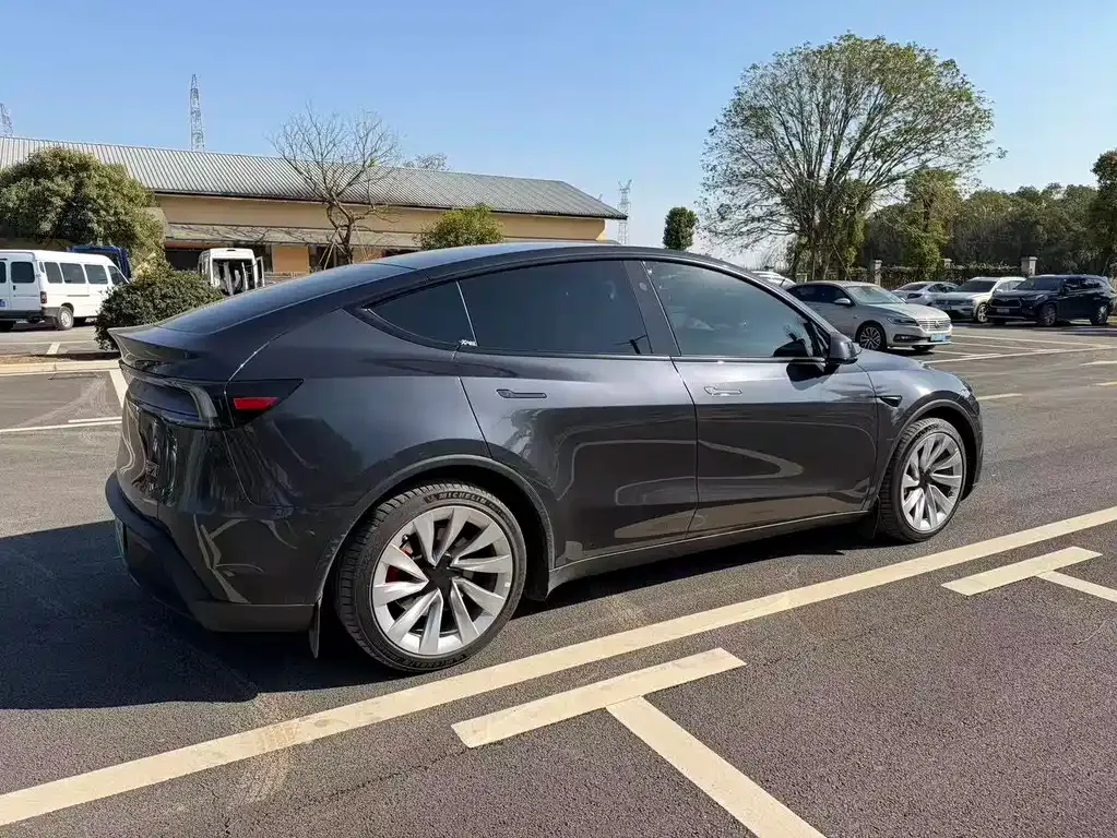 Tesla Model Y 2025 из CN, фото 6
