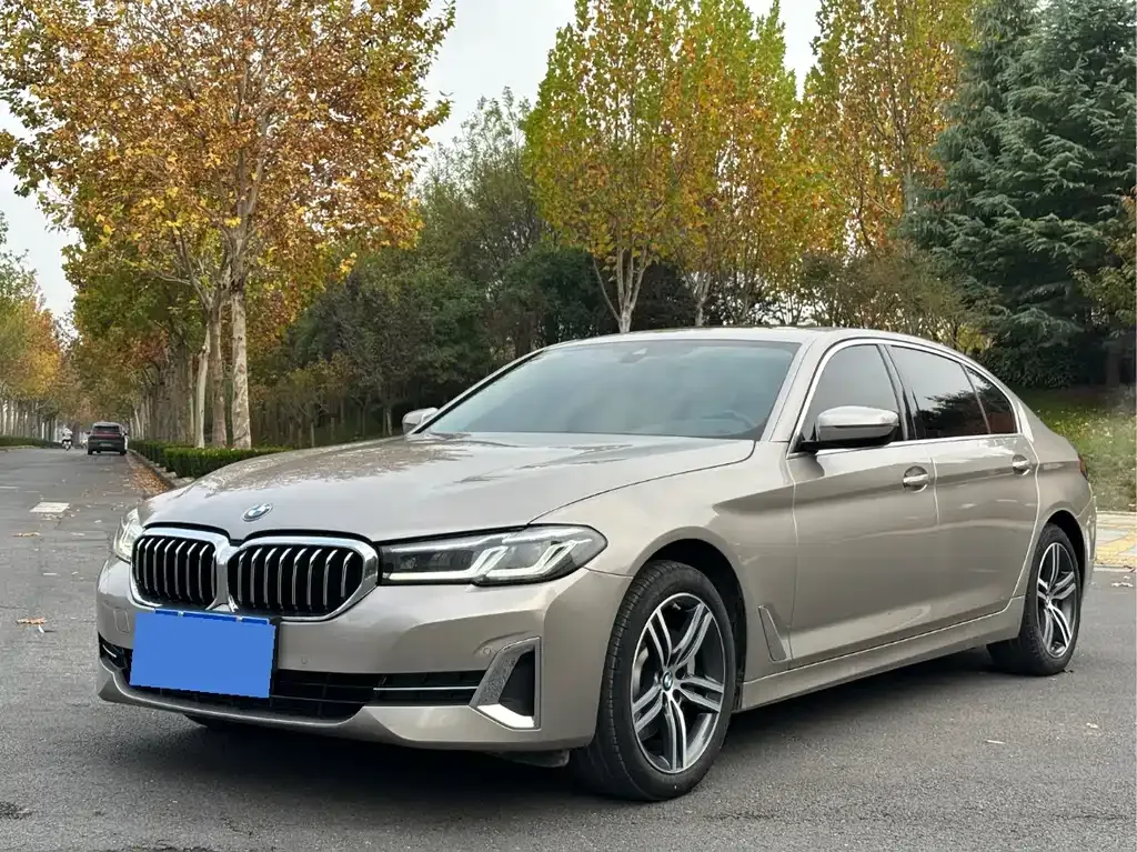 BMW 5 Series 2022 из CN, фото 1