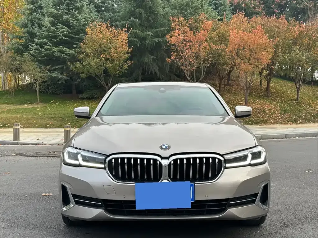 BMW 5 Series 2022 из CN, фото 2