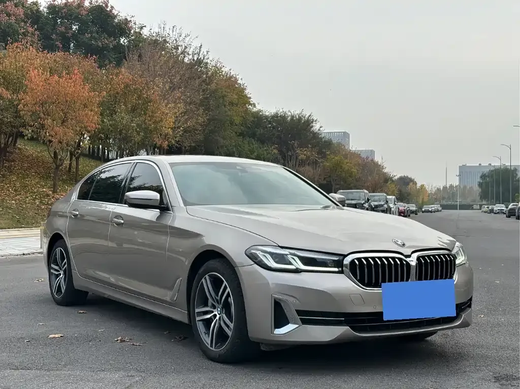BMW 5 Series 2022 из CN, фото 3