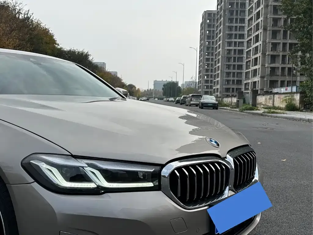 BMW 5 Series 2022 из CN, фото 4