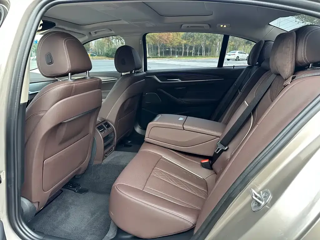 BMW 5 Series 2022 из CN, фото 7