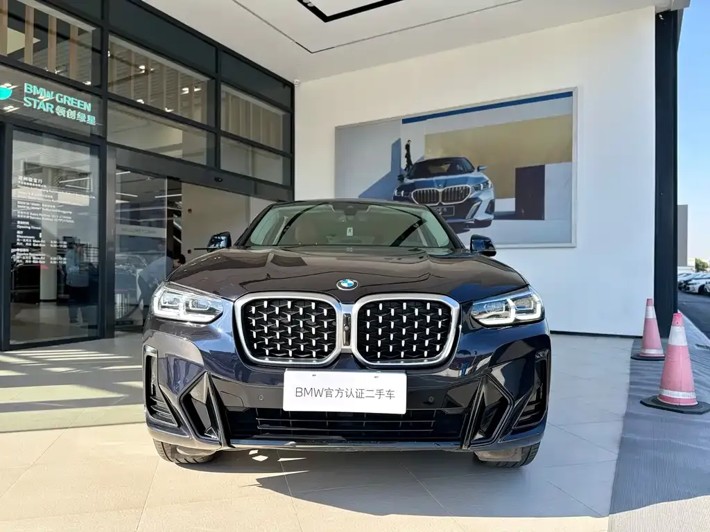 BMW X4 2023 из CN, фото 3