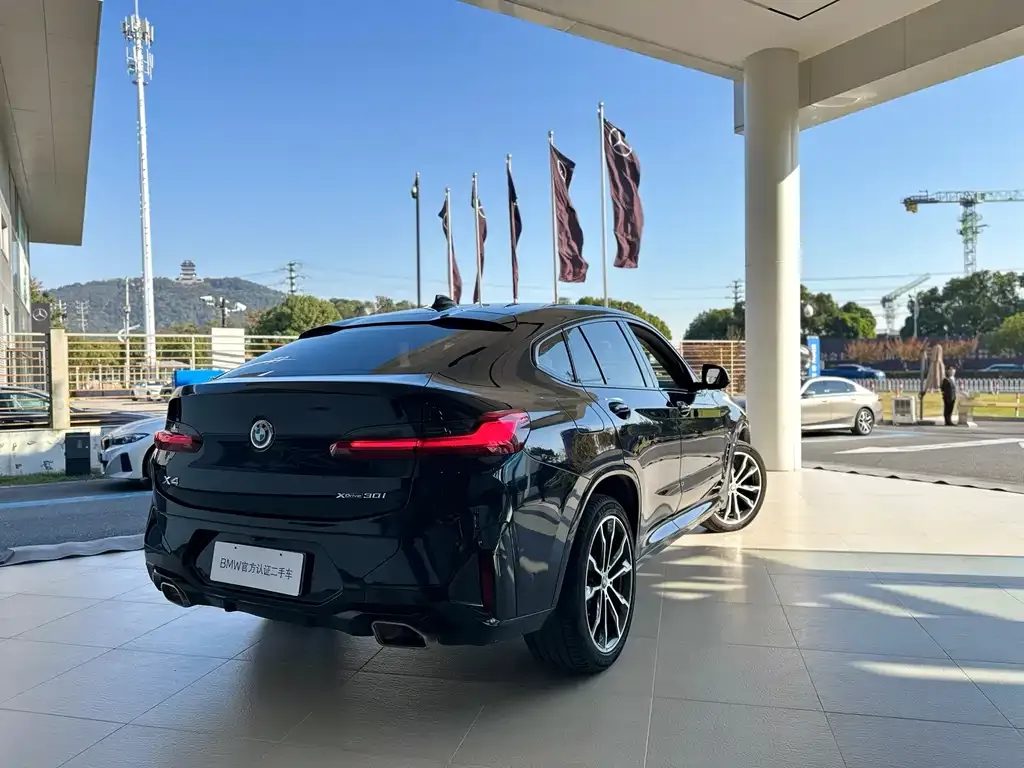 BMW X4 2023 из CN, фото 4