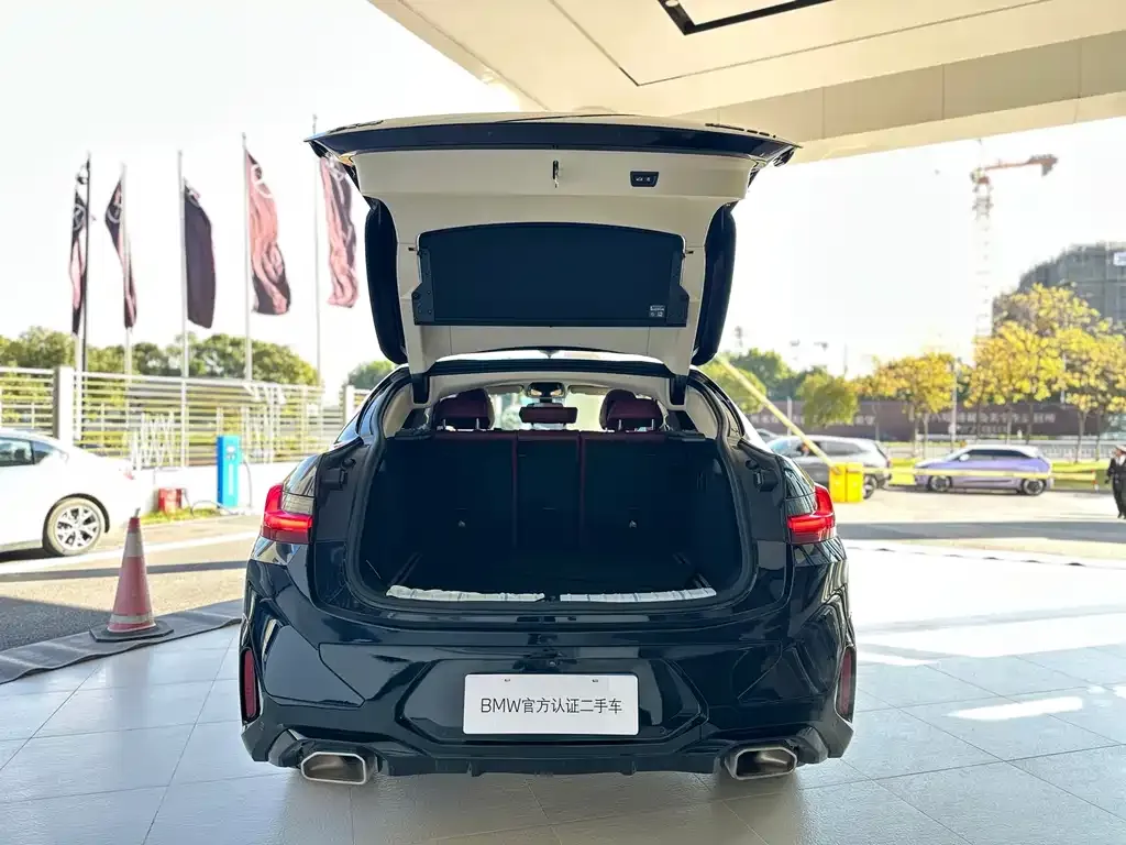 BMW X4 2023 из CN, фото 6