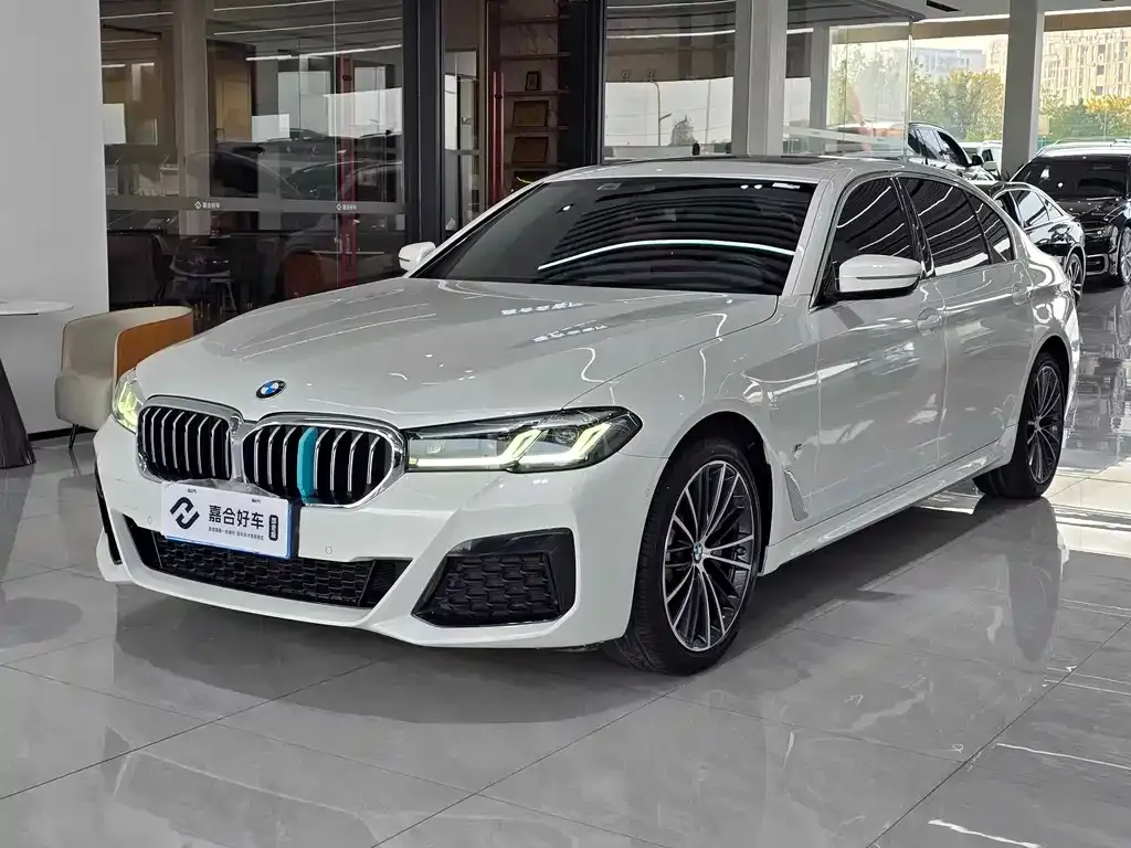 BMW 5 Series 2022 из CN, фото 1