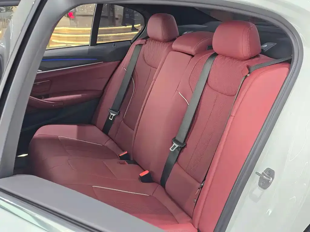 BMW 5 Series 2022 из CN, фото 7
