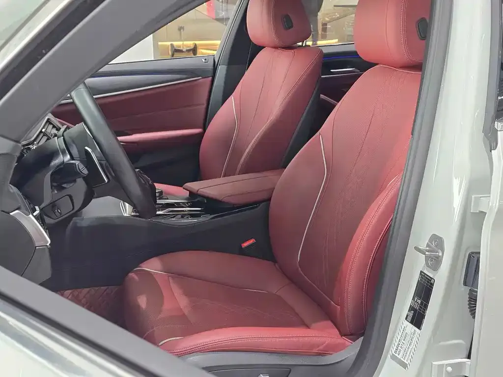 BMW 5 Series 2022 из CN, фото 8