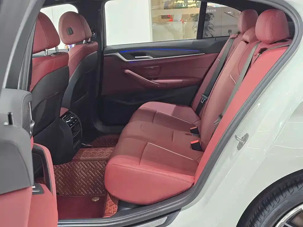 BMW 5 Series 2022 из CN, фото 9